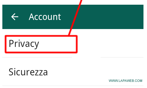 cliccare su PRIVACY